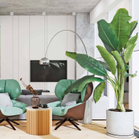 Биофильный дизайн интерьера Биофильный дизайн интерьера